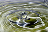 jipoy > I read an article on strobist.blogspot.com about shooting waterdrops and decided to give their method a try. It was much easier to shoot then what I had been doing in the past.