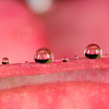 One of my favorite subjects are water drops on plants after a rain storm (or sometimes even during the storm).